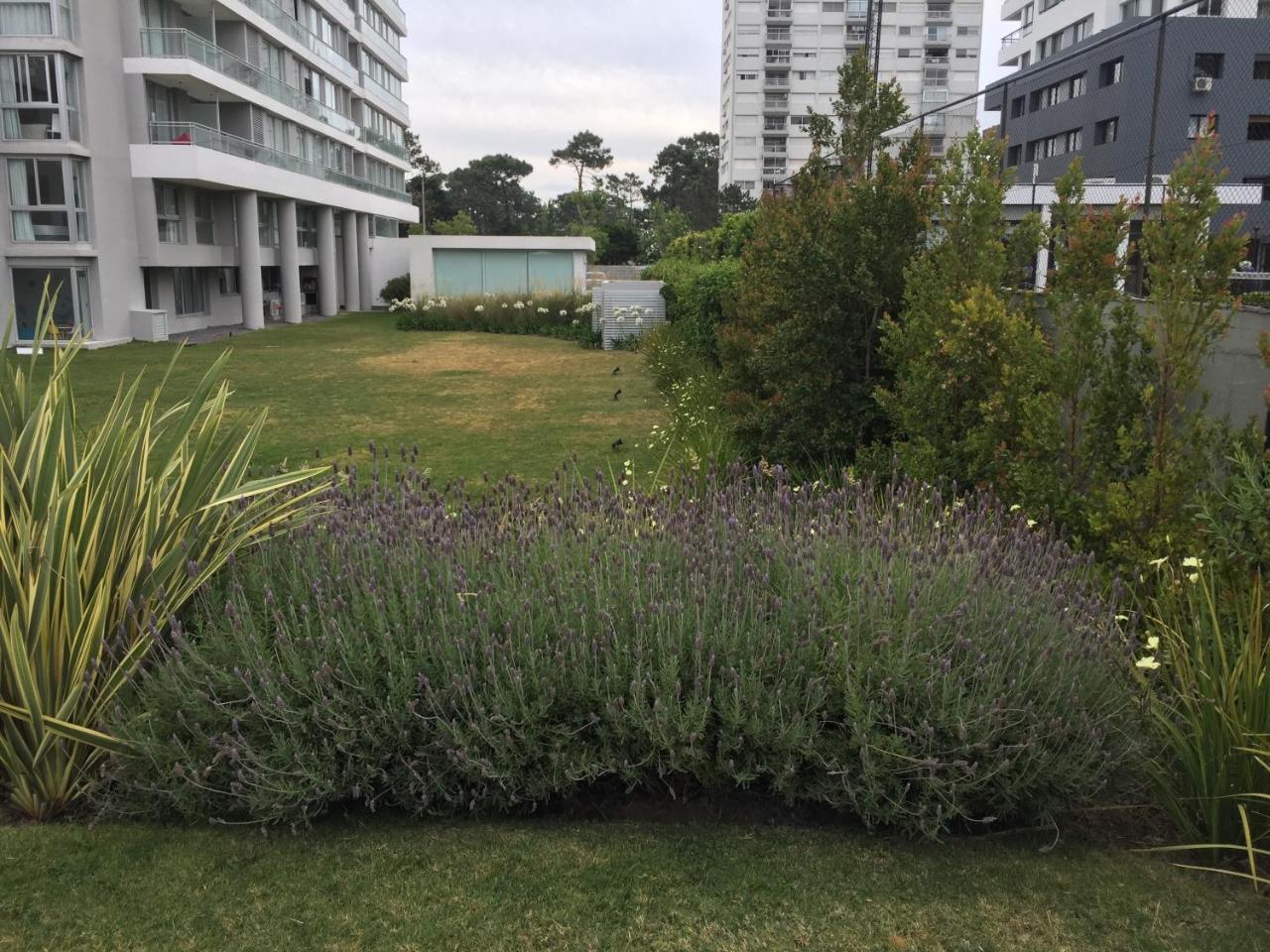 Bellagio Tower New Apartments Punta del Este Exteriör bild